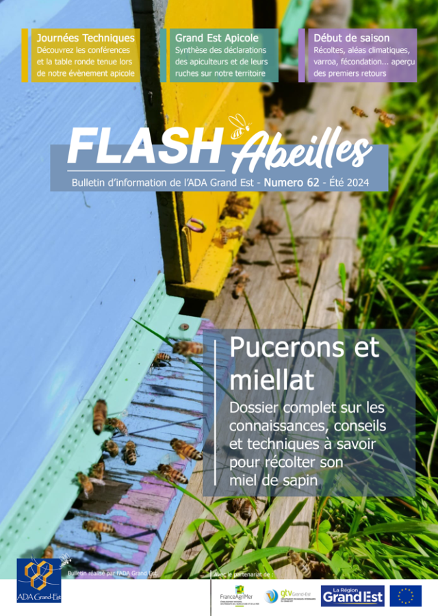 Flashabeilles n 62 pucerons et miellat 640x900